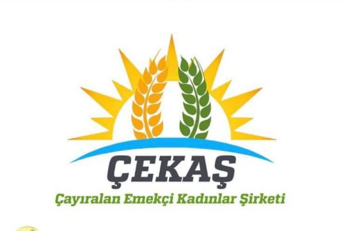 ÇEKAŞ Kuruldu